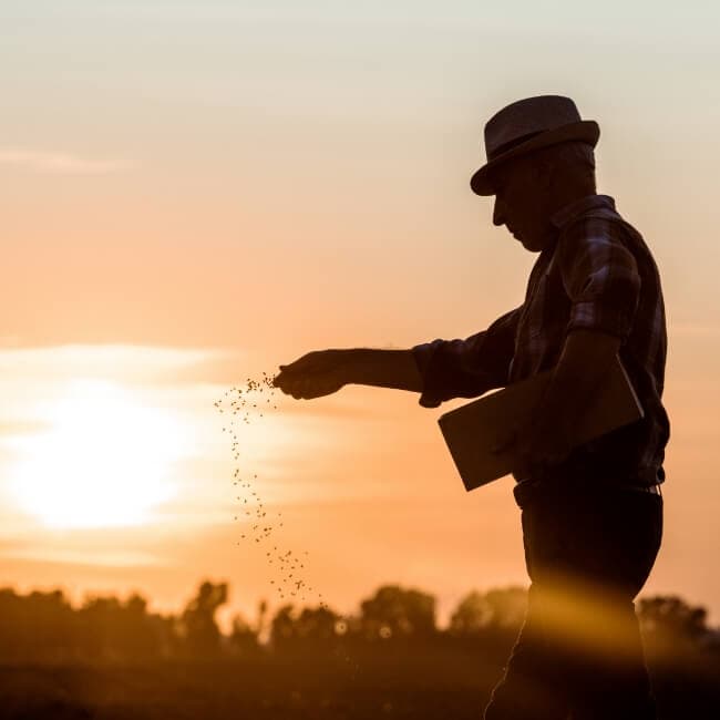 A farmer spreading seeds on a farm field.